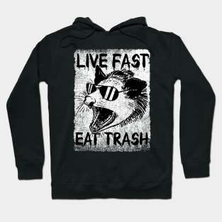 Live Fast Eat Trash Opossum Hoodie